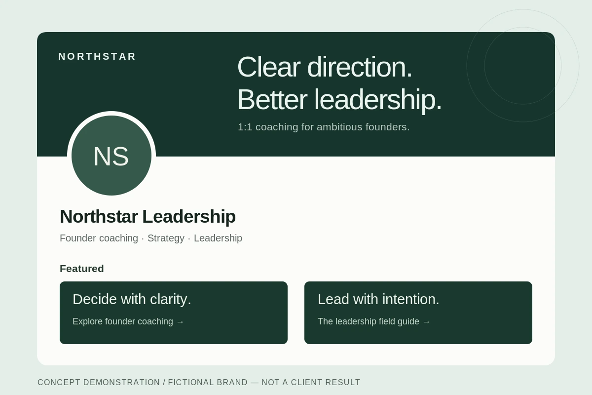Northstar Leadership — Profile identity. Fictional brand. Illustrative profile design; not commissioned client work.